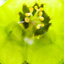 令人振奋的ddos攻防